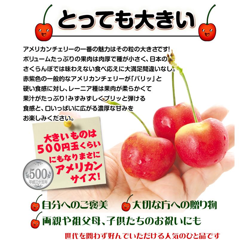 ✬ちぇりーこーぽ✬即日配送(⁠^⁠^⁠) 様 ✬ちぇりーこーぽ✬即日配送(⁠^⁠^⁠) 様 チェリー | Q-pot. ONLINE SHOP