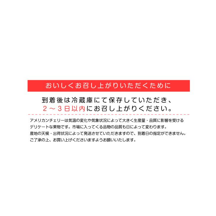 訳有激安 即日発送5.0kg空輸anh đào チェリー（桜桃）ヤマト冷蔵発送 訳あり ”桃太郎トマトor王様トマト ほか” 風袋込約4kg 大きさ