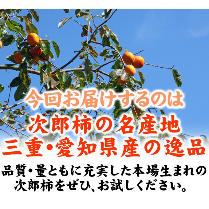 柿 約10kg 次郎柿 三重・愛知産 ご家庭用 送料無料 食品｜seikaokoku｜09