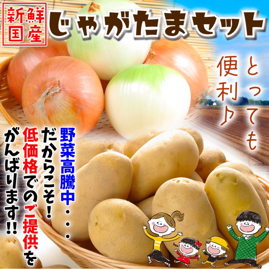 じゃがたまセット 5kg 玉ねぎ 2.5kg じゃがいも 国産野菜 新鮮 九州