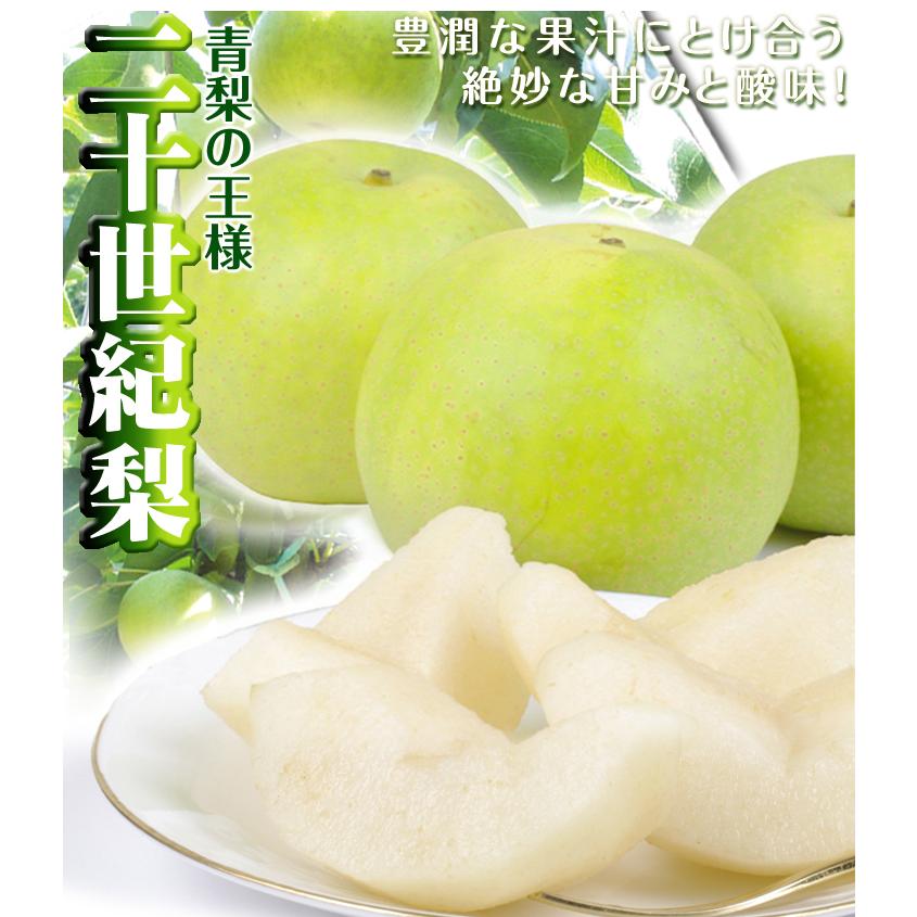 梨 鳥取産 二十世紀梨 10kg なし 青梨 甘い さっぱり 和梨 フルーツ