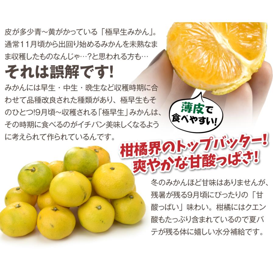miki＠フォロー割✨様専用 サイズ混合訳あり10kg - 通販 - olgapuri.org