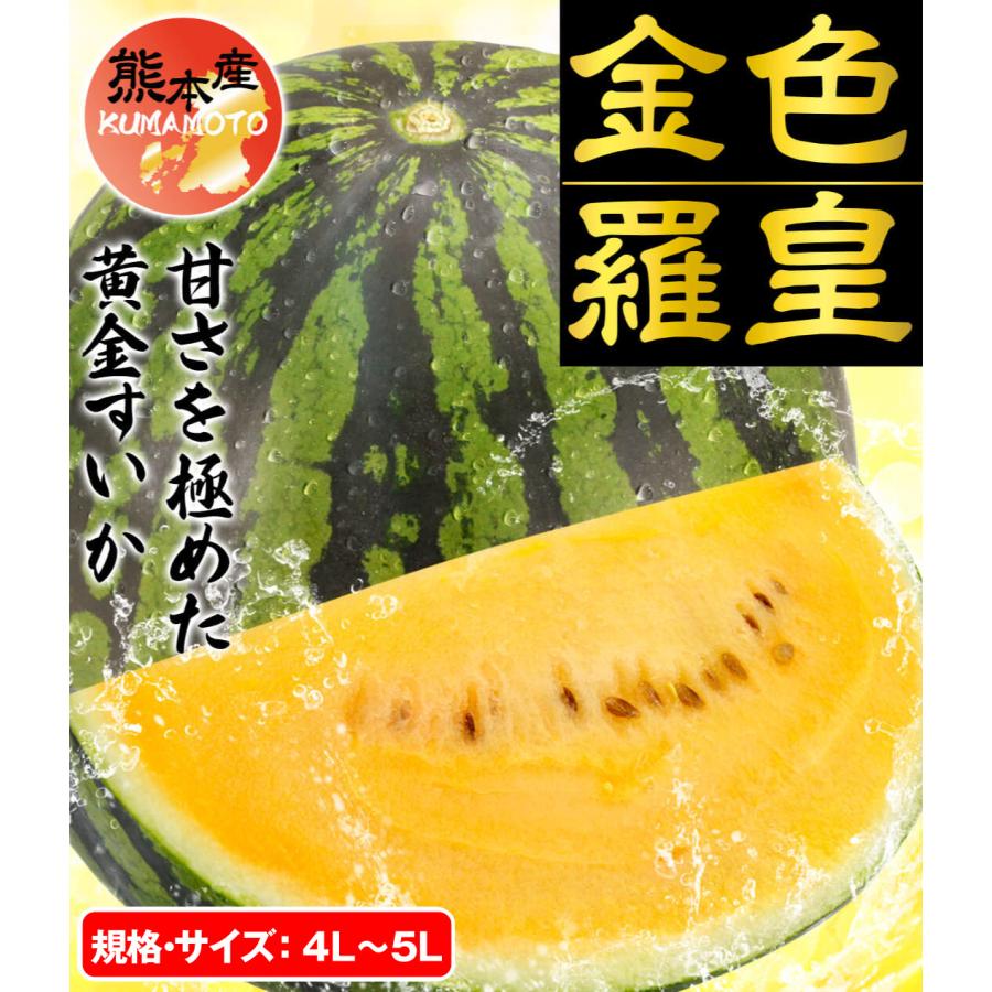 国華園 スイカ 1玉 金色羅皇 熊本産 ただいま出荷中 送料無料 食品