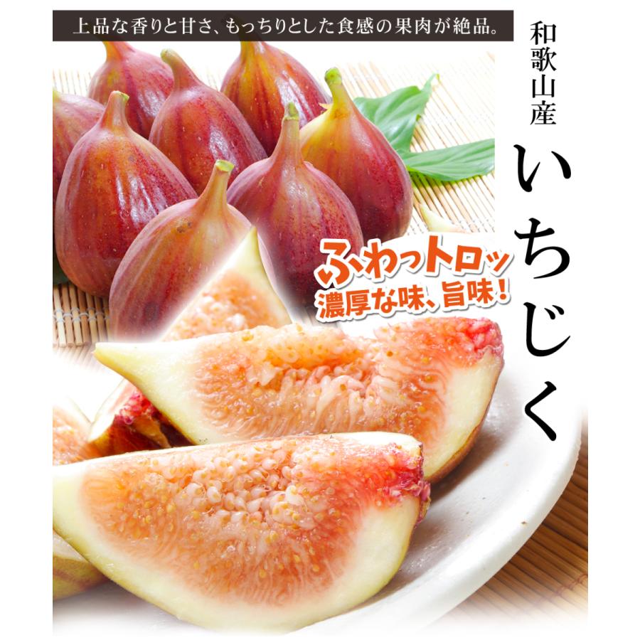 限定品】 いちじく 1.2kg 大阪 和歌山産 無花果 イチジク ご家庭用 送料無料 食品 いちじく 1.2kg 大阪・和歌山産 無花果 イチジク ご家庭用 送料無料 食品
