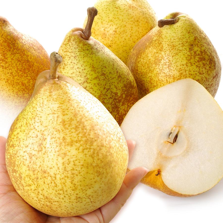 洋梨 約4.5kg ゼネラル・レクラーク 希少品種 青森産 送料無料 食品