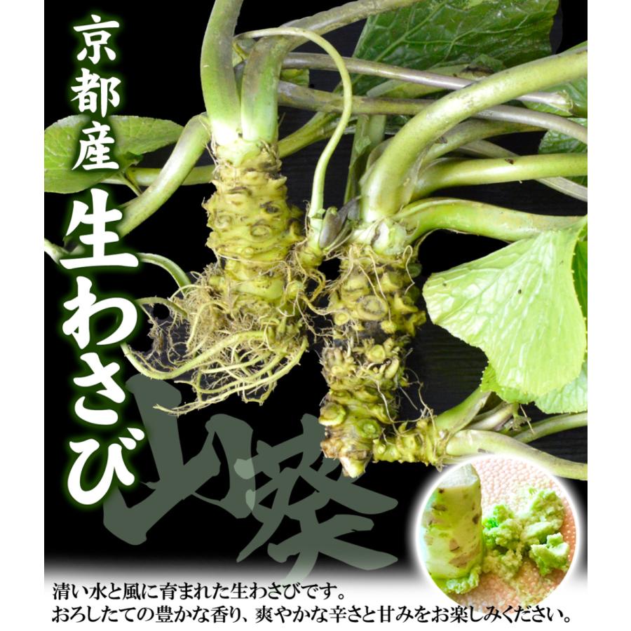 数量限定)わさび 3本 京都産 沢わさび 葉つきわさび 冷蔵便 数量限定)わさび 3本 京都産 沢わさび 葉つきわさび 冷蔵便