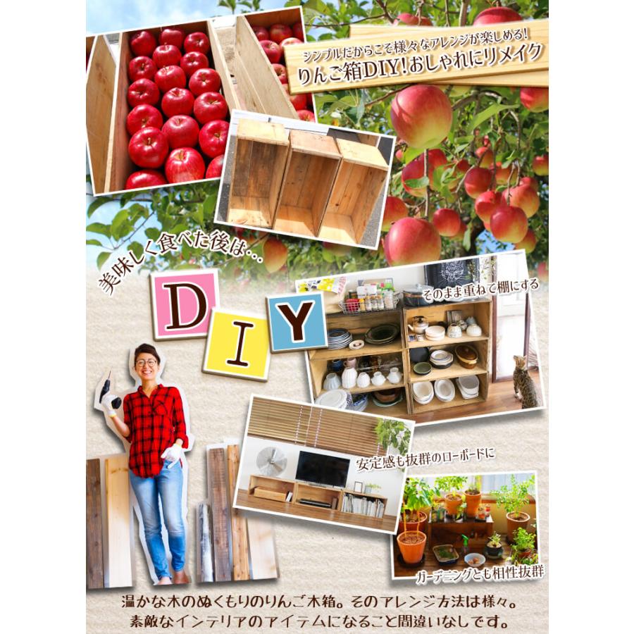 りんご 約20kg サンふじ ご家庭用 木箱 青森産 りんご箱 送料無料 食品