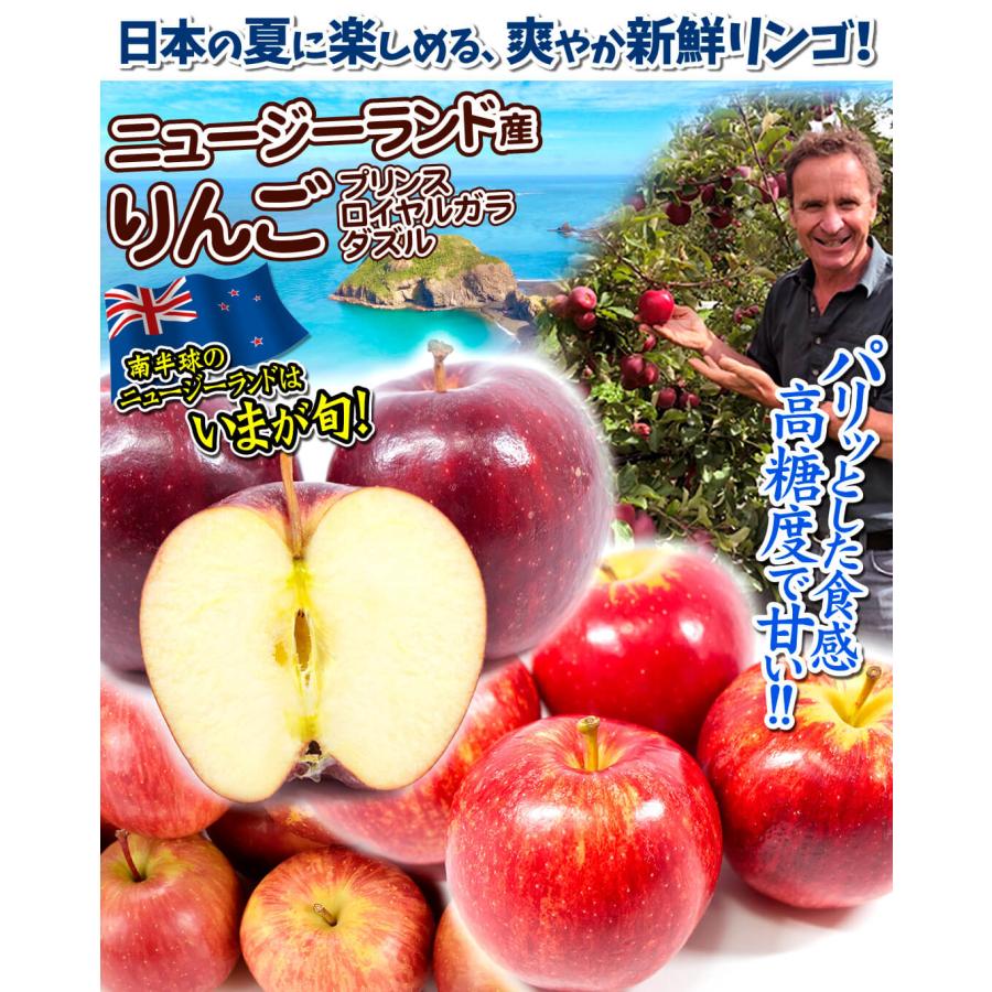 りんご 2kg ニュージーランド産 赤りんご 南半球の夏が旬のりんご 小玉