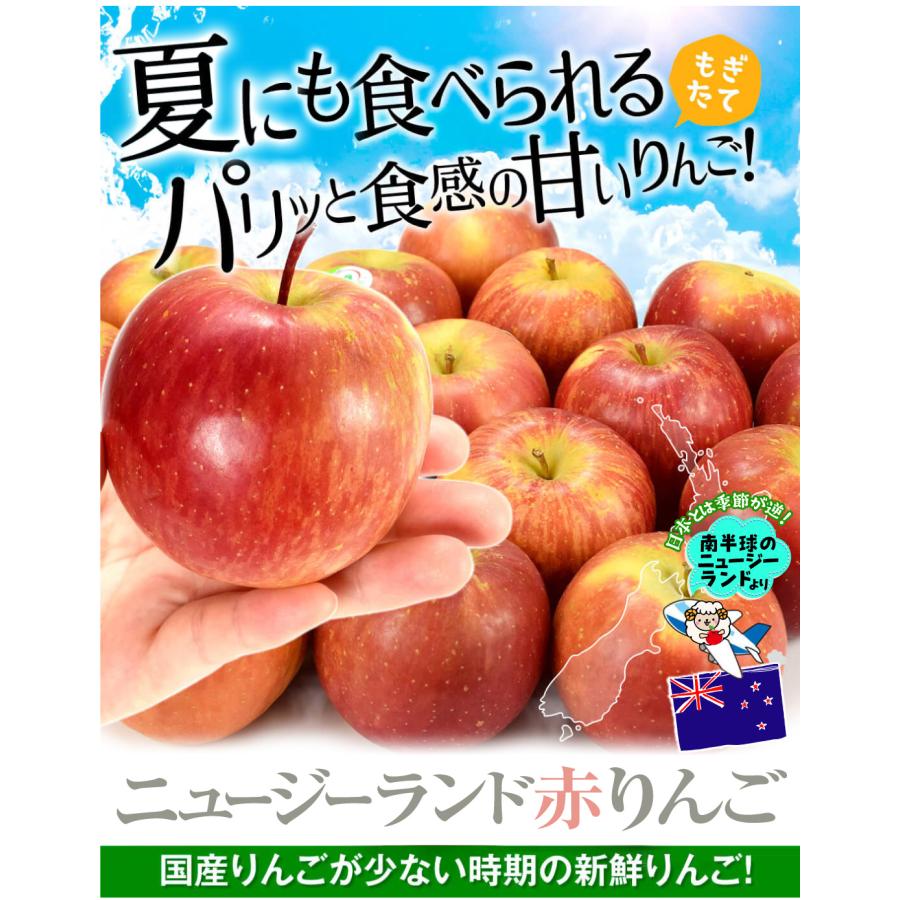 りんご 約2kg ニュージーランド産 赤りんご ダズル他 （約16玉