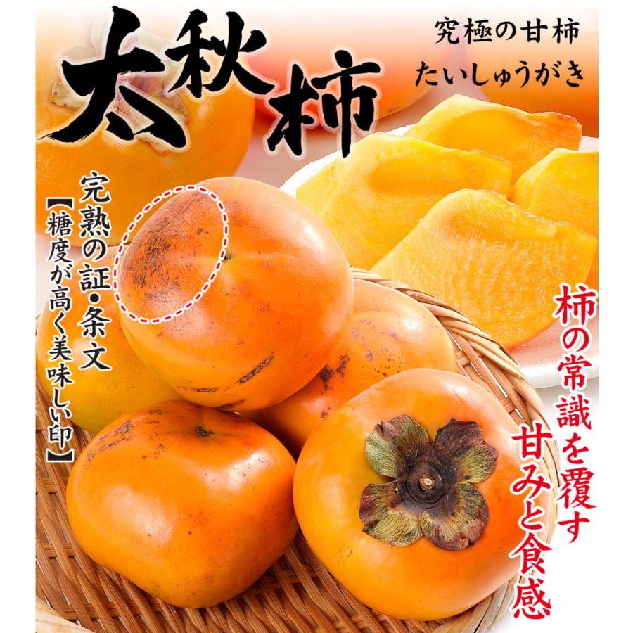 柿 約4kg 熊本・福岡産 大特価 太秋柿 1箱 送料無料 たいしゅう 太秋 かき 食品 フルーツ 果物 国華園 :f84193:食みらい・国華園 - 通販 - Yahoo!ショッピング 柿 約4kg 熊本・福岡産 大特価 太秋柿 1箱 送料無料 たいしゅう 太秋 かき 食品 フルーツ 果物 国華園 :f84193:食みらい・国華園 - 通販 - Yahoo!ショッピング
