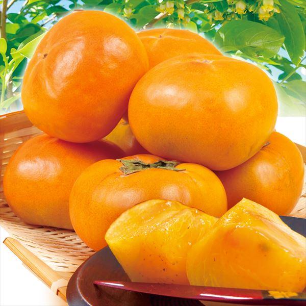 柿 7.5kg 和歌山・奈良産 富有柿 送料無料 食品 :f84347:食みらい・国華園 - 通販 - Yahoo!ショッピング 柿 7.5kg 和歌山・奈良産 富有柿 送料無料 食品 :f84347:食みらい・国華園 - 通販 - Yahoo!ショッピング