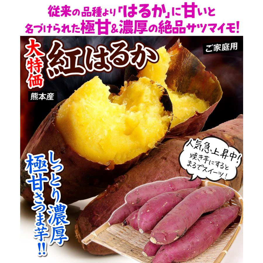 さつまいも 紅はるか 5kg 熊本産 ご家庭用 無選別 べにはるか 甘藷 サツマイモ 送料無料 食品 国華園（ご注文順に随時発送中）｜seikaokoku｜02