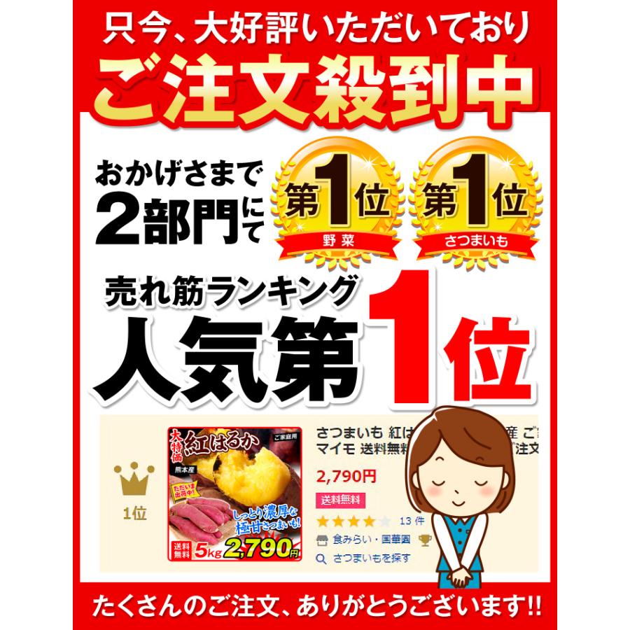 さつまいも 紅はるか 5kg 熊本産 ご家庭用 無選別 べにはるか 甘藷 サツマイモ 送料無料 食品 国華園（ご注文順に随時発送中）｜seikaokoku｜04