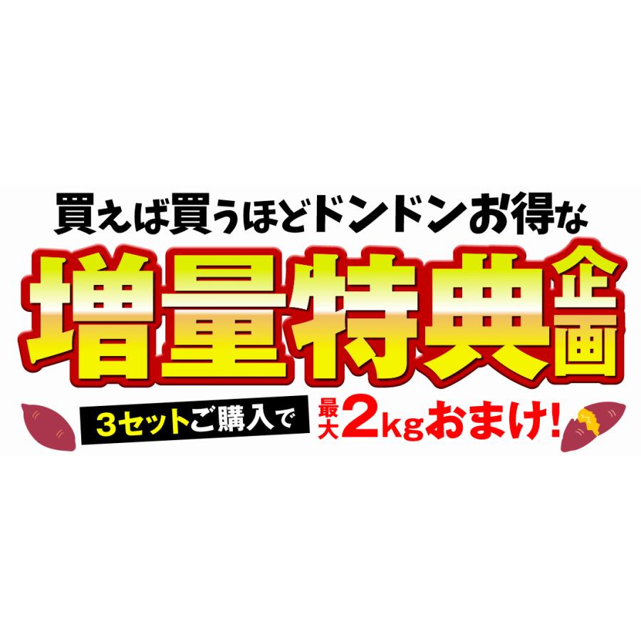 さつまいも 安納芋 2kg 種子島産 訳あり 生芋 送料無料（2セット目から増量あり）増量特典 あんのう 熟成 野菜 いも 食品｜seikaokoku｜02