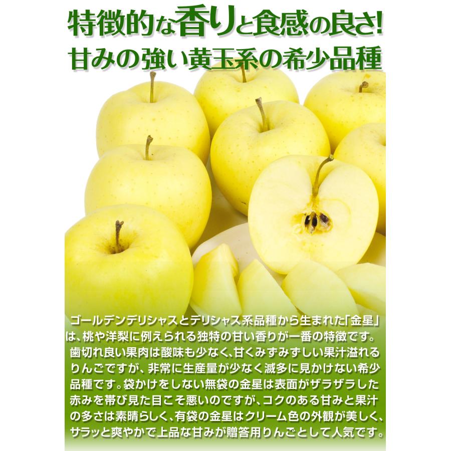 りんご 5kg 青森産 大特価 金星 （12〜28玉） 1箱 ご家庭用 きんせい 希少品種 送料無料 食品 国華園｜seikaokoku｜03