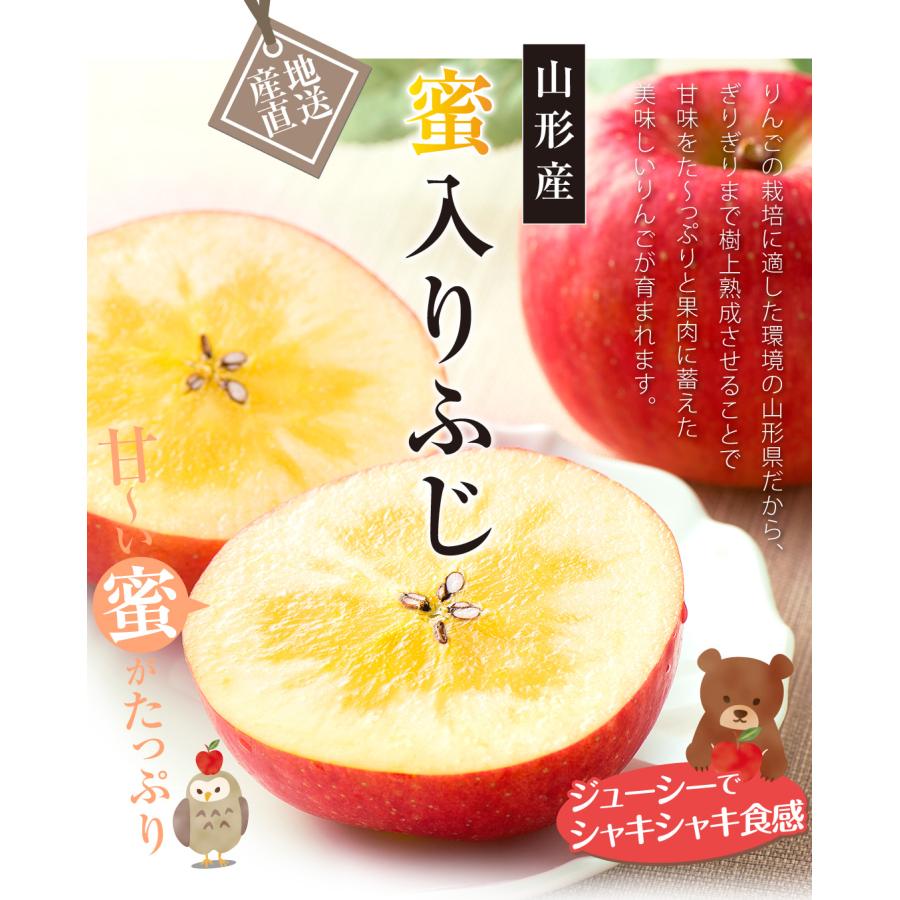 絶対一番安い 食みらい 国華園 数量限定 りんご 3kg 山形産 蜜入りふじ 8 17玉 ご家庭用 産地直送 みついり やまがた フルーツ 果物 林檎 Cfc Com Do