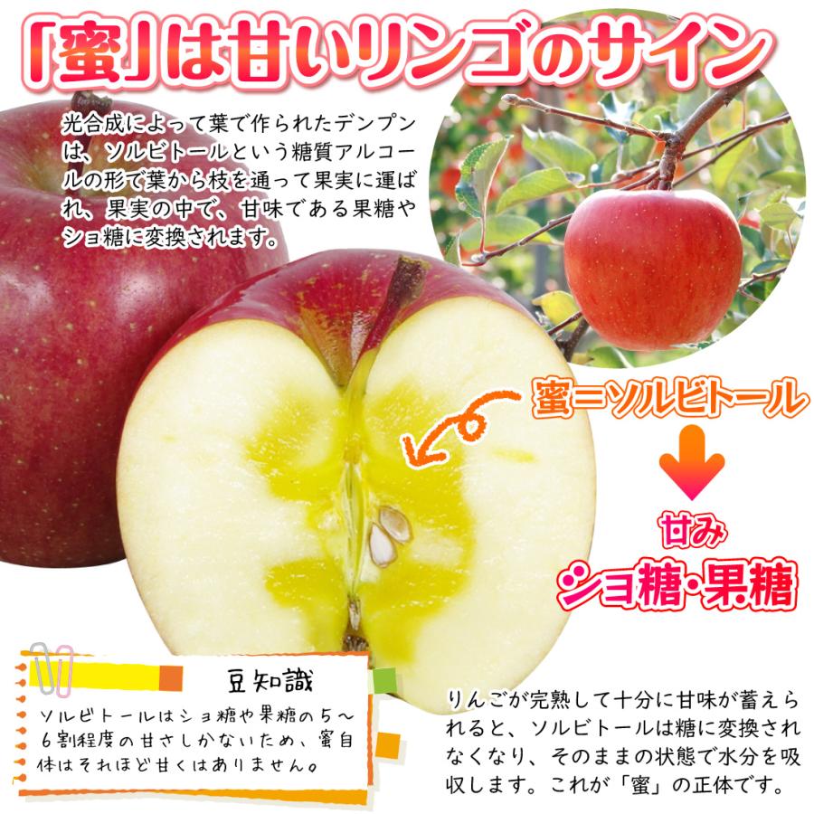 りんご 3kg ご家庭用 蜜入りサンふじ 青森産 送料無料 食品【2026年産