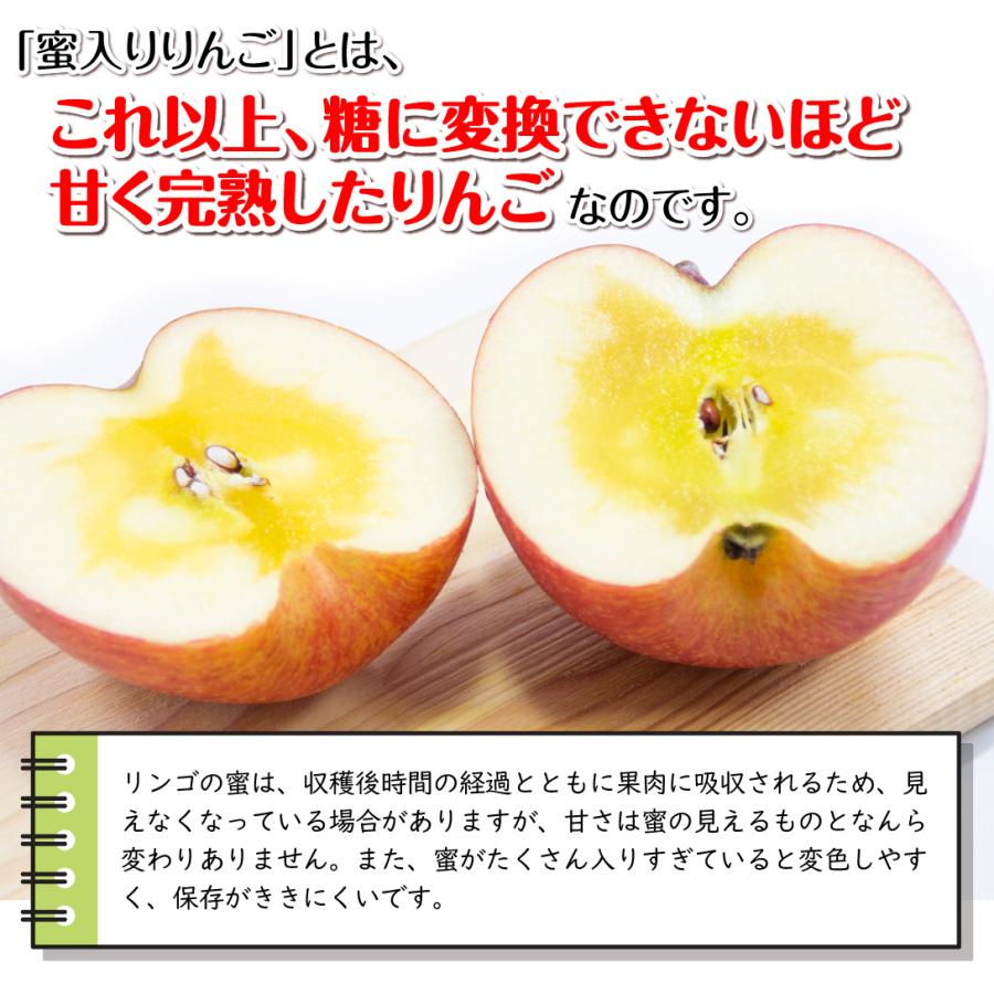 りんご 3kg 蜜入りサンふじ ご家庭用 青森産 送料無料 食品 : 食