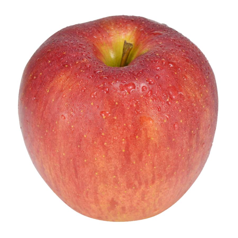 りんご 3kg 高糖度サンふじ 青森産 ご家庭用 送料無料 食品｜seikaokoku｜04