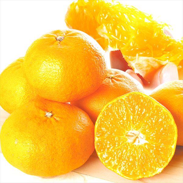 みかん 5kg 甘平 ご家庭用 愛媛産 かんぺい カンペイ ミカン 送料無料