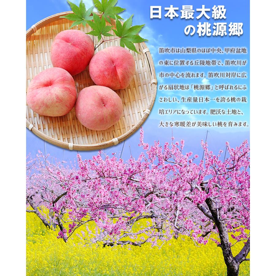 もも 1.5kg 笛吹の桃 山梨産 送料無料 食品｜seikaokoku｜06