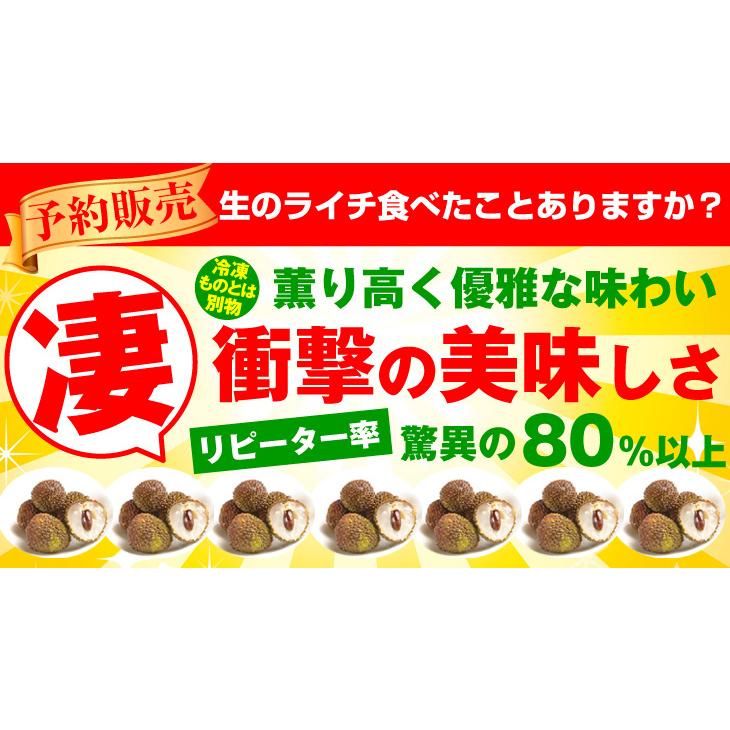 ライチ 1kg 生ライチ 玉荷包 台湾産 ぎょっかほう グリーンライチ 茘枝