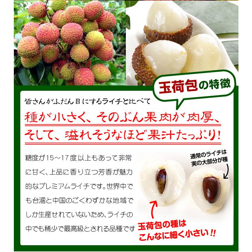 ライチ 1kg 生ライチ 玉荷包 台湾産 ぎょっかほう グリーンライチ 茘枝