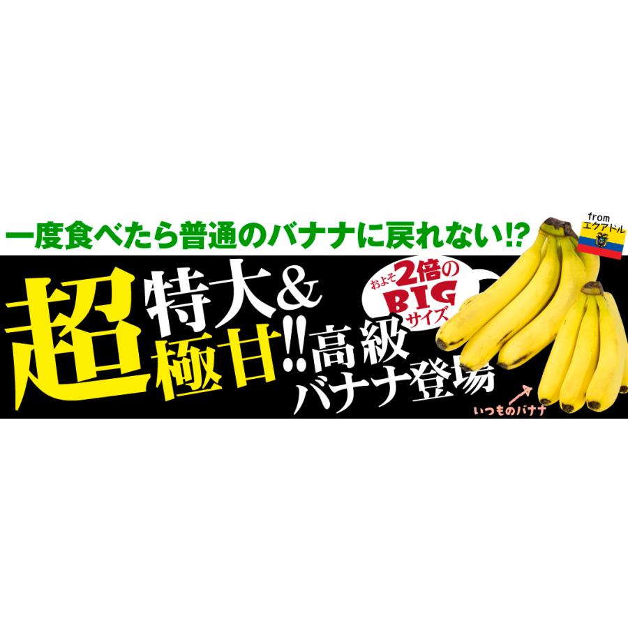 バナナ 1房 エクアドル産 特大バナナ 約2〜3kg前後 ご家庭用 ハンド