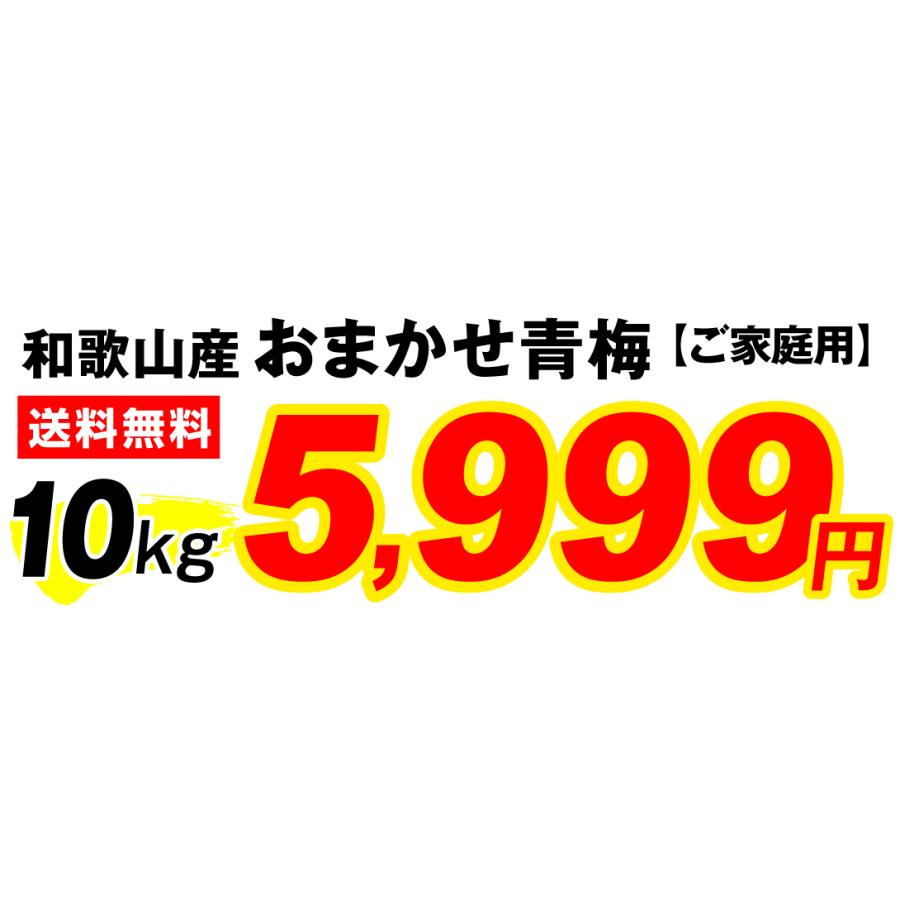 梅 10kg おまかせ青梅 ご家庭用 和歌山産 送料無料 食品｜seikaokoku｜03