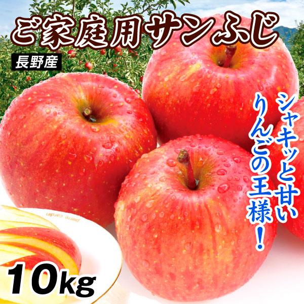 りんご 10kg ご家庭用 サンふじ 長野産 送料無料 食品 【12月上旬から