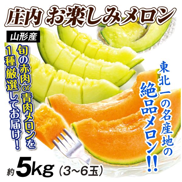 メロン 山形産 庄内お楽しみメロン 5kg 品種おまかせ 青肉 赤肉 フルーツ 果物 家庭用 送料無料 食品（Yahoo!・食みらい・国華園）