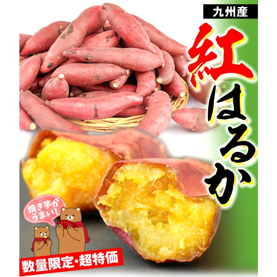 さつまいも 紅はるか 5kg 数量限定 九州産 ご家庭用 訳あり 送料無料 食品｜seikaokoku｜03