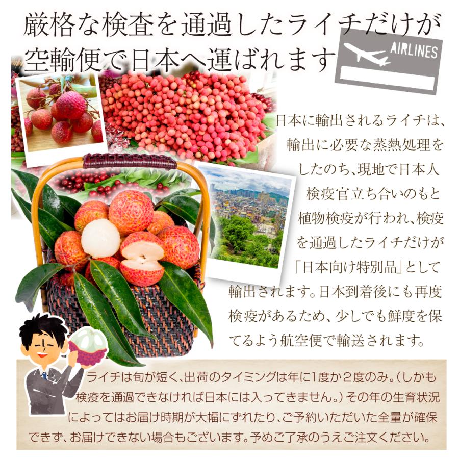 ライチ 1kg 種なし 生ライチ 広東省産 茘枝 フレッシュライチ 冷蔵便