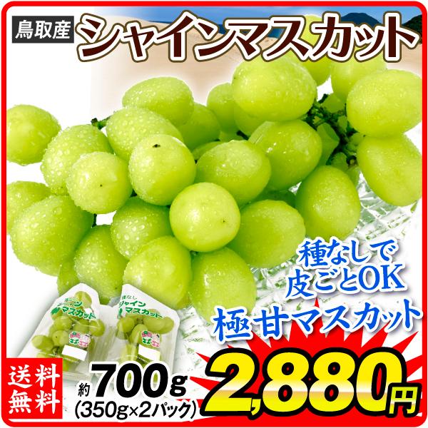 ぶどう 700g シャインマスカット 350g×2 鳥取産 ご家庭用 大粒 種なし 皮ごとOK 送料無料 葡萄 食品 国華園 ぶどう ハニービーナス&ピオーネ ぶどう 粒 1kg 送料無料!②