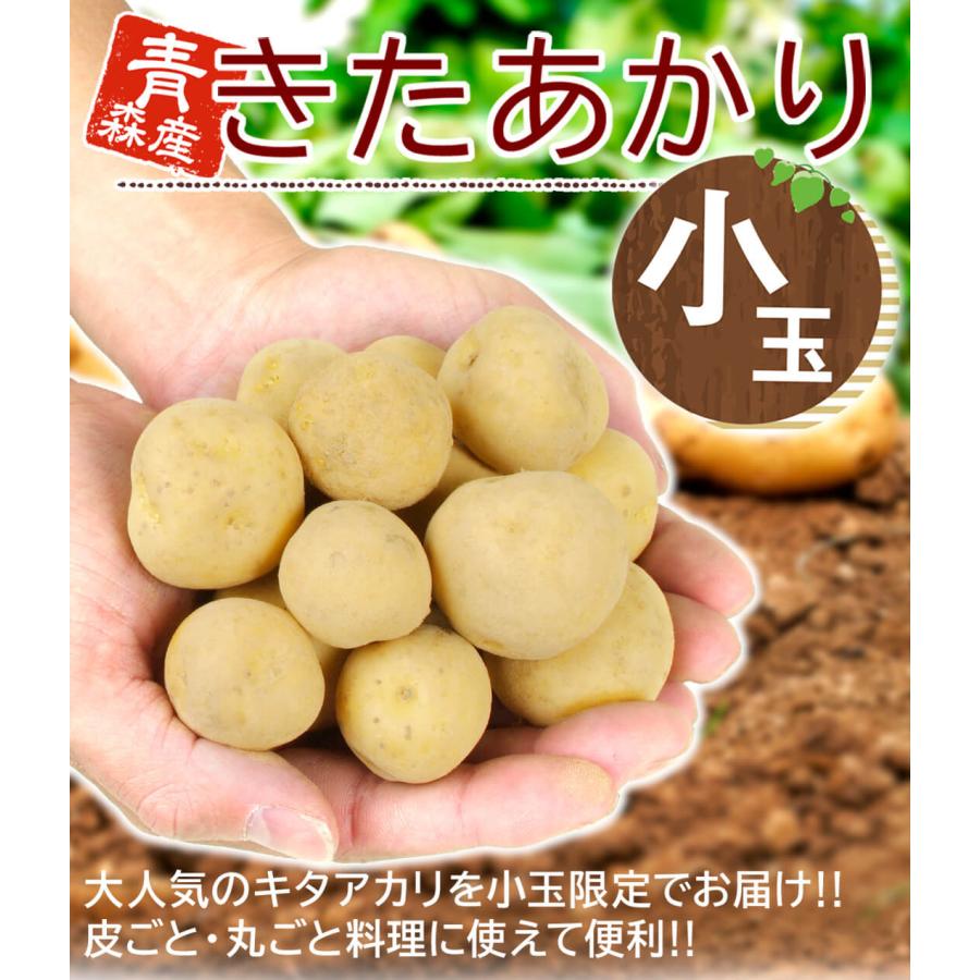 じゃがいも 10kg きたあかり 青森産 まるごとキタアカリ（Sサイズ）1箱