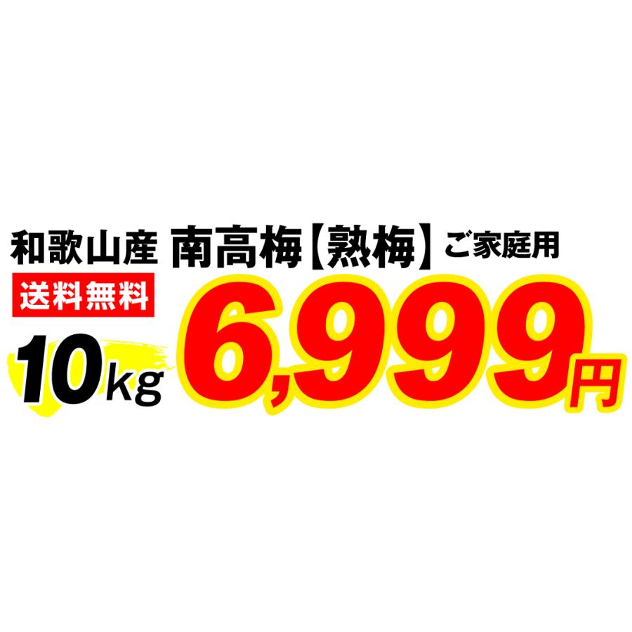 梅 10kg 南高梅・熟梅 ご家庭用 和歌山産 送料無料 食品 : 食