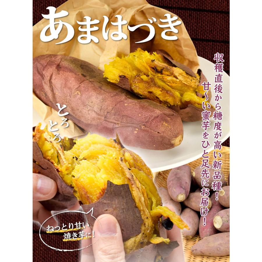 さつまいも 5kg あまはづき 鹿児島産【9月中旬より発送開始】ご家庭用