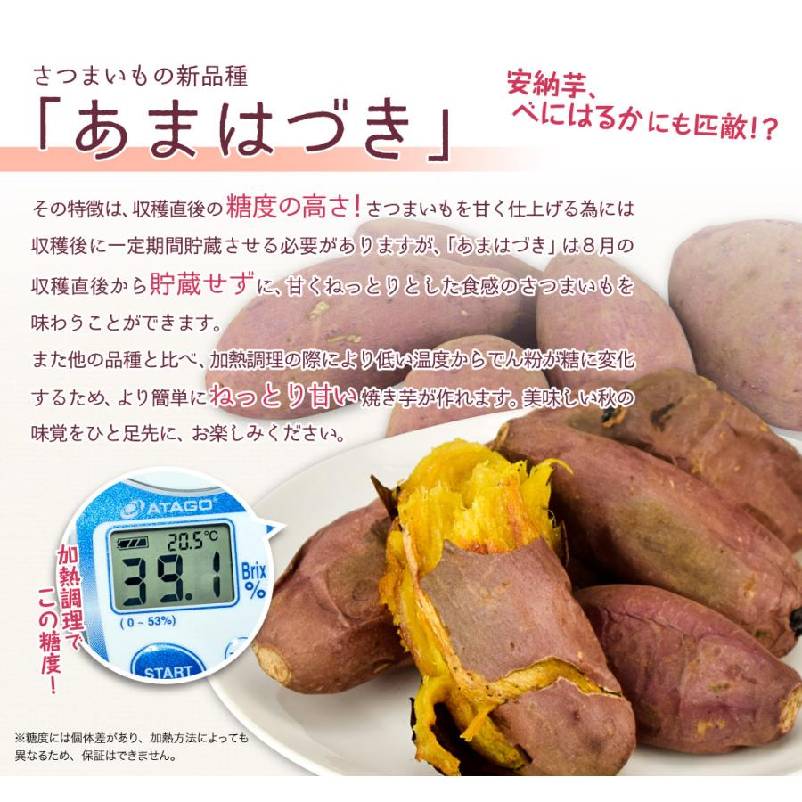 さつまいも 5kg あまはづき 鹿児島産【9月中旬より発送開始】ご家庭用