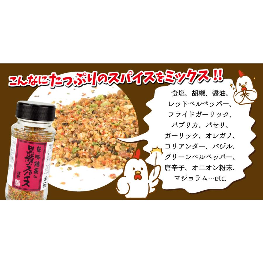 スパイス 調味料 110g×1本 黒瀬のスパイス 黒瀬 スパイシー 塩