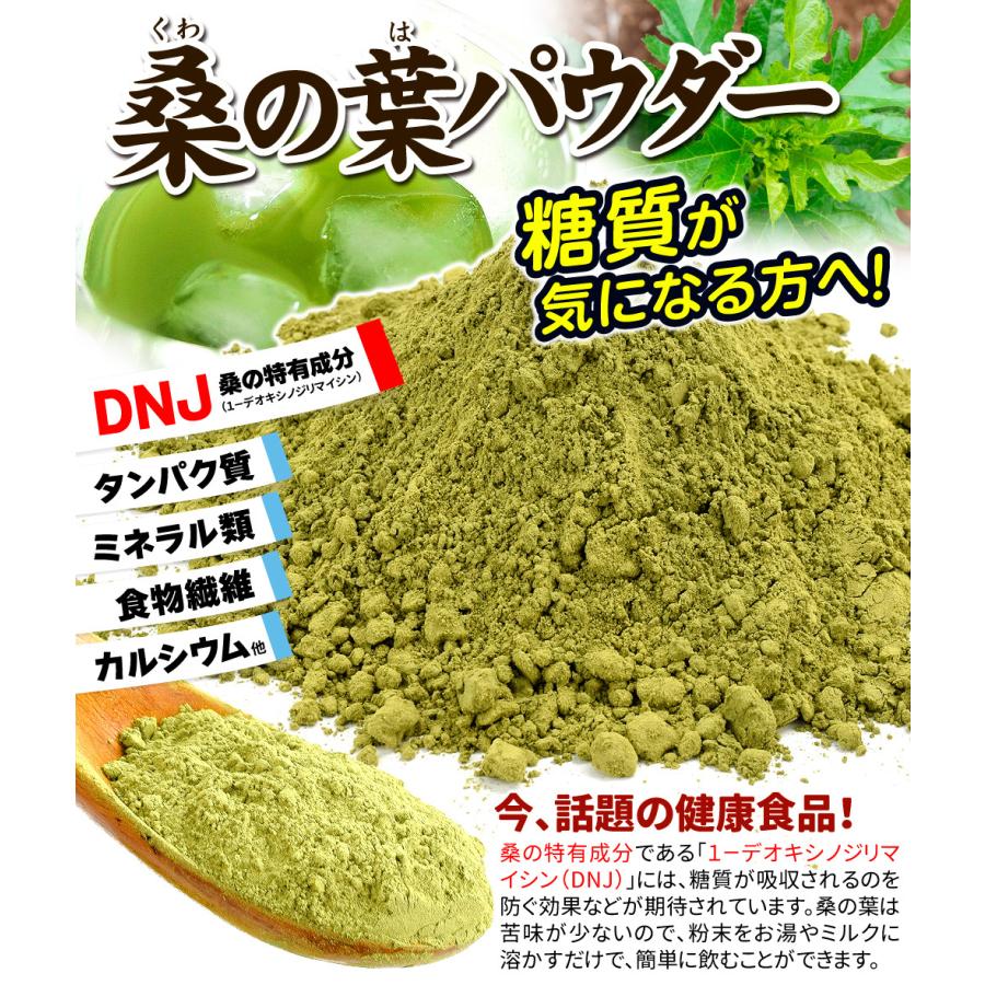 桑の葉パウダー 1袋 100g 送料無料 粉末 ポスト投函 食品 : 食みらい