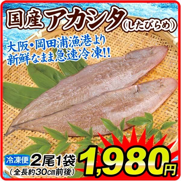 舌平目 大阪湾産 アカシタ 1袋 2尾入 シタビラメ 瀬戸内海 ムニエル フレンチ食材 冷凍便 食品 爆買 : 食みらい・国華園 - 通販 - Yahoo!ショッピング
