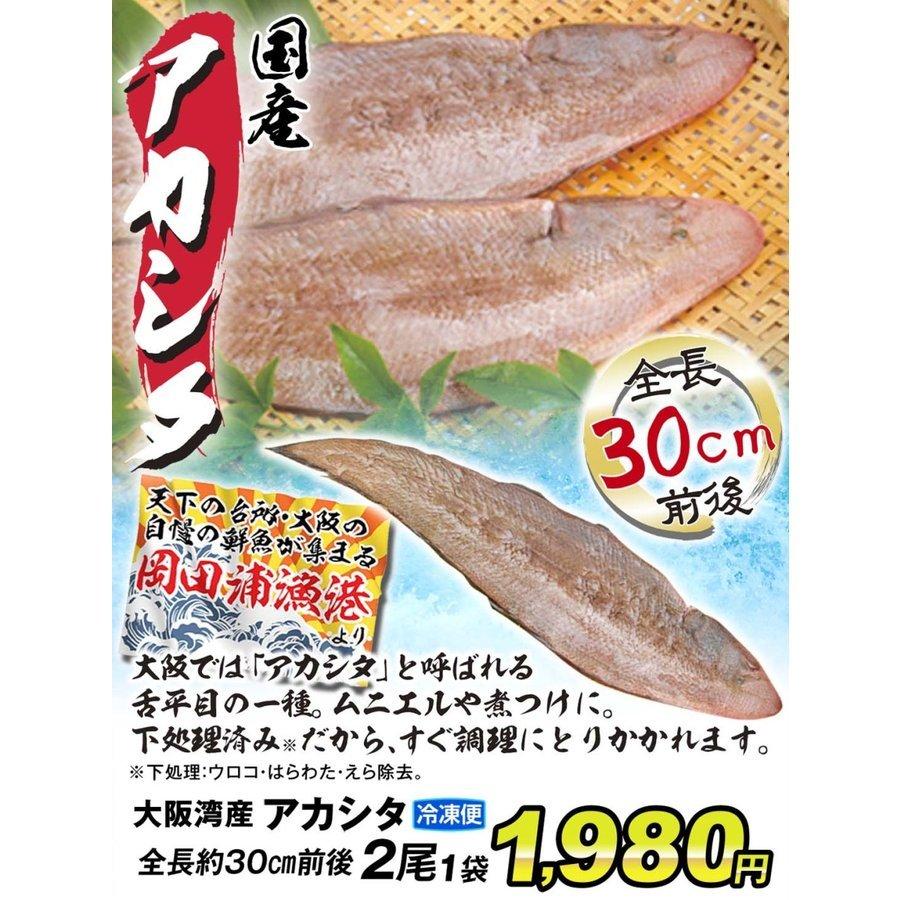 舌平目 大阪湾産 アカシタ 1袋 2尾入 シタビラメ 瀬戸内海 ムニエル フレンチ食材 冷凍便 食品 F 食みらい 国華園 通販 Yahoo ショッピング