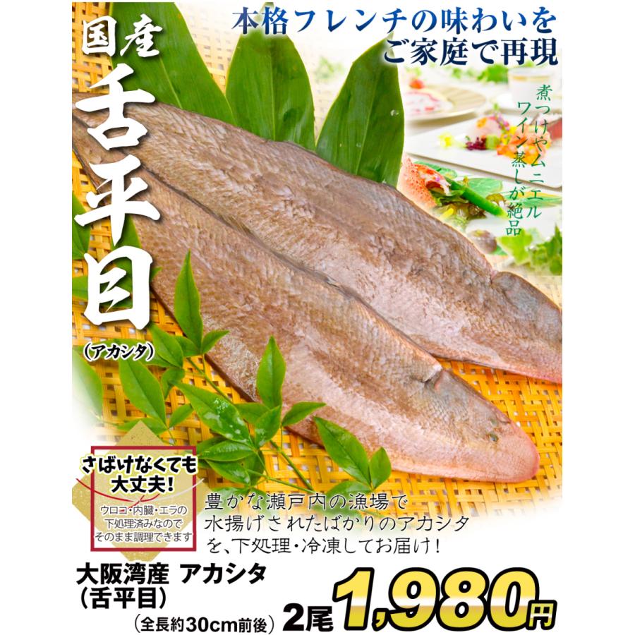 舌平目 大阪湾産 アカシタ 1袋 2尾入 シタビラメ 瀬戸内海 ムニエル フレンチ食材 冷凍便 食品 F 食みらい 国華園 通販 Yahoo ショッピング