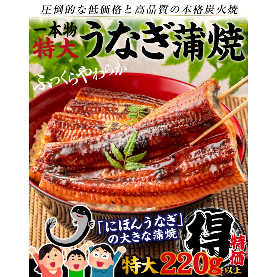 うなぎ 鰻 特大うなぎ蒲焼 一本物 1尾1組 ニホンウナギ 訳あり 約220g 冷凍 グルメ 国華園 :f87263:食みらい・国華園 - 通販 - Yahoo!ショッピング うなぎ 鰻 特大うなぎ蒲焼 一本物 1尾1組 ニホンウナギ 訳あり 約220g 冷凍 グルメ 国華園 :f87263:食みらい・国華園 - 通販 - Yahoo!ショッピング