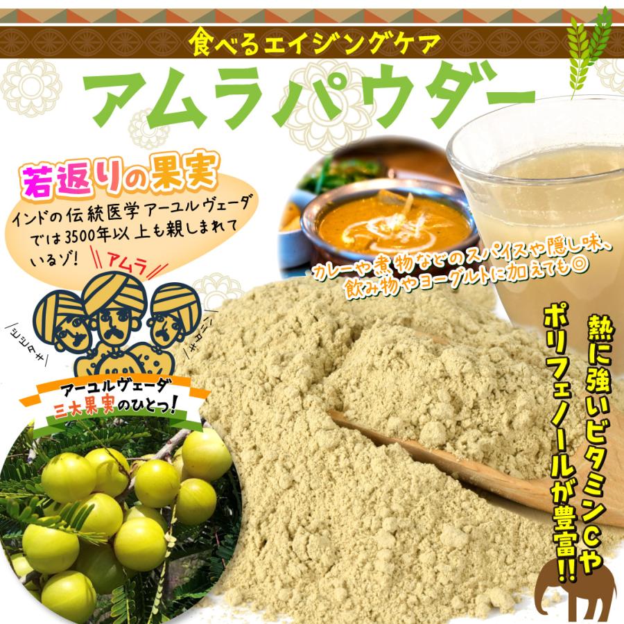 アムラパウダー 100g インド産 1袋 粉末 スパイス 料理 送料無料 ポスト投函 食品 国華園｜seikaokoku｜03