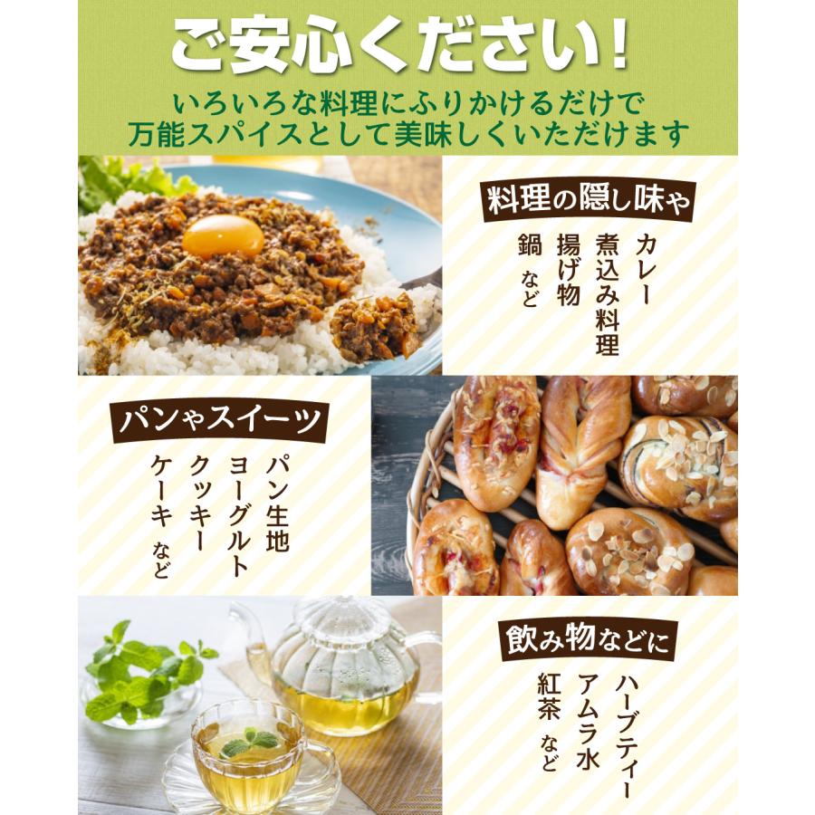 アムラパウダー 100g インド産 1袋 粉末 スパイス 料理 送料無料 ポスト投函 食品 国華園｜seikaokoku｜06