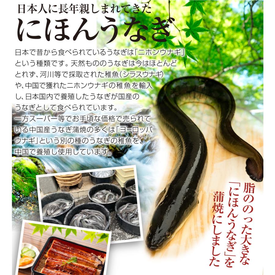 うなぎ 鰻 超特大うなぎ蒲焼 一本物 1尾 ニホンウナギ 訳あり 約250g 冷凍 グルメ 国華園 F 食みらい 国華園 通販 Yahoo ショッピング