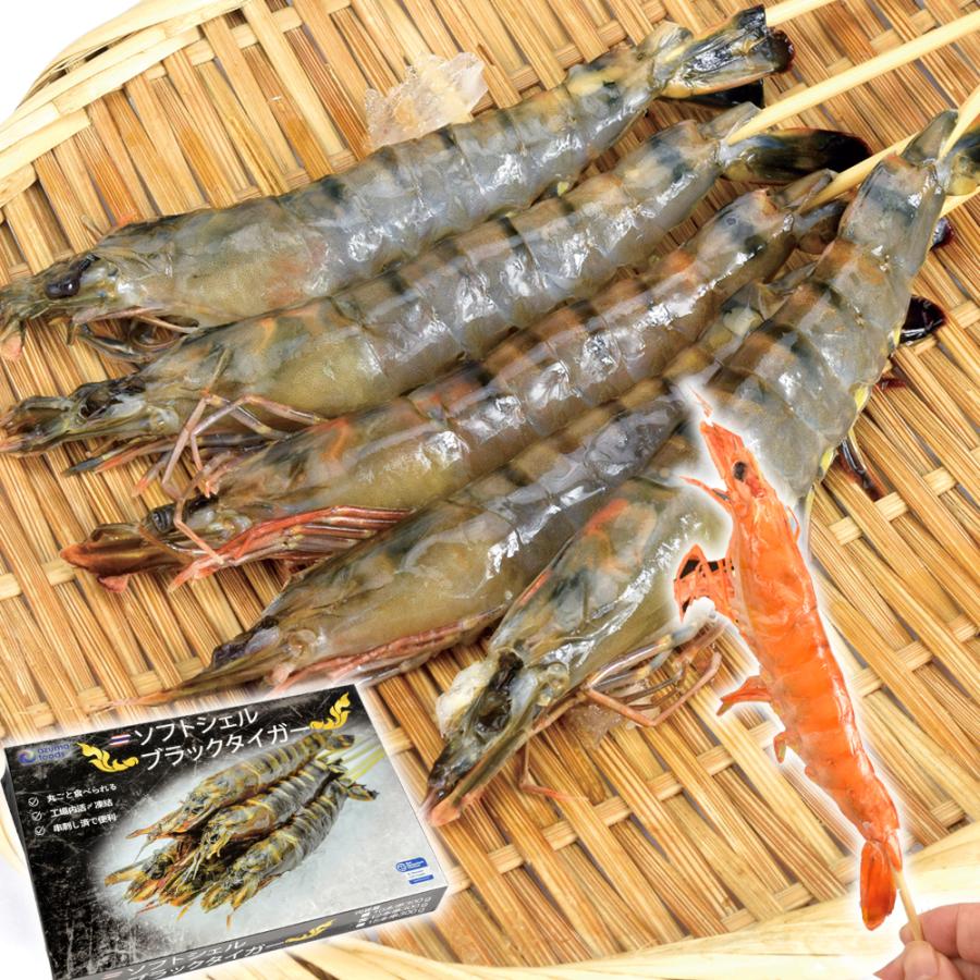 えび ブラックタイガー串 12本 1箱 ソフトシェル 冷凍便 串打ち済み 皮