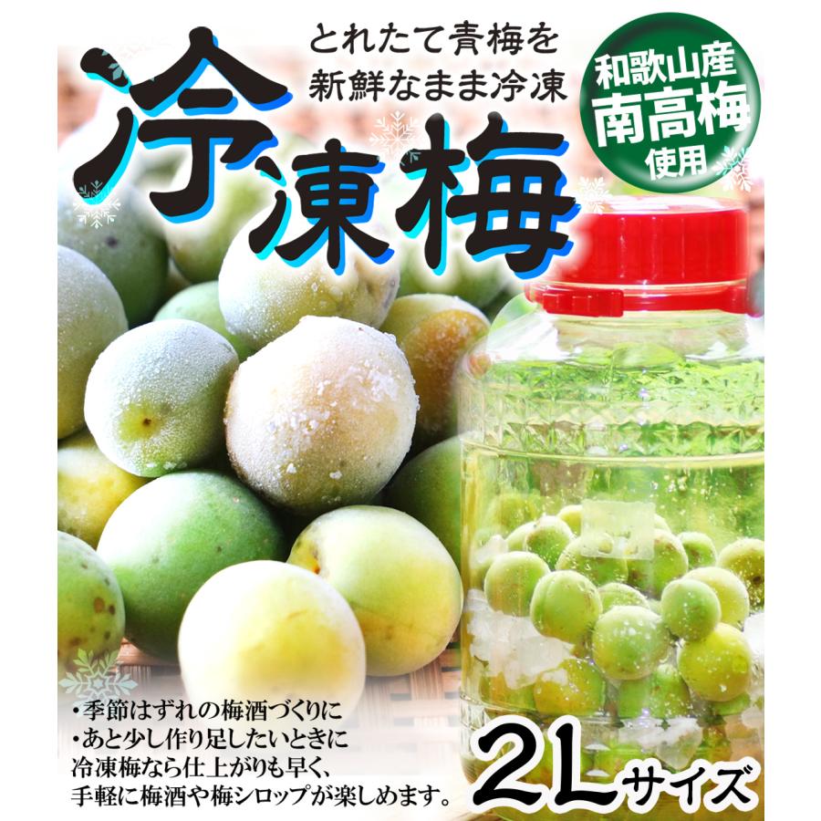 冷凍梅 1kg 南高梅 和歌山産 冷凍 青梅 冷凍便 国華園 : 食みらい・国 