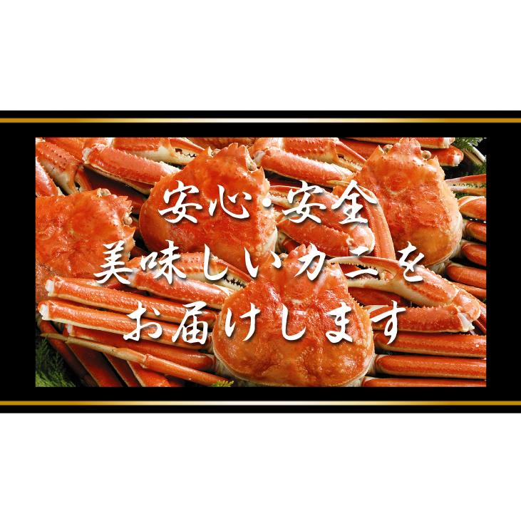 かに 大特価 ボイルずわいがに 姿 1尾 500g前後 蟹 カニ 送料無料 冷凍便 食品｜seikaokoku｜14